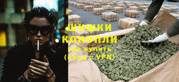 индика Михайлов