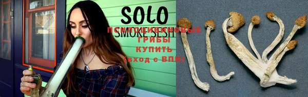 PSILOCYBIN Навашино