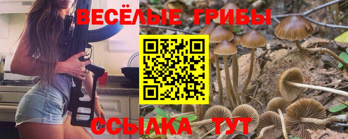 Меф   Конопля  Апшеронск  Меф  КОКАИН  МАРИХУАНА  Вход с VPN  АМФЕТАМИН  