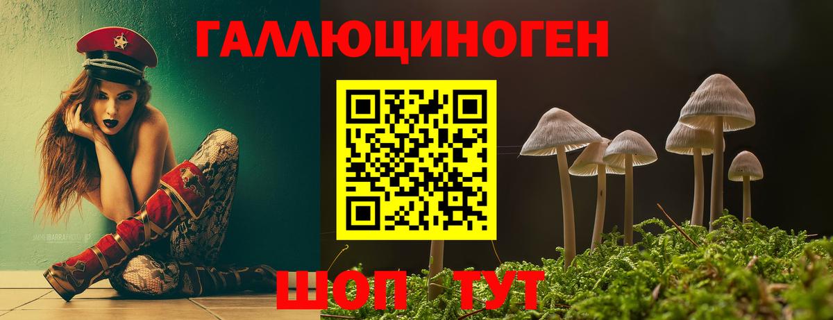 Галлюциногенные грибы ЛСД Апшеронск