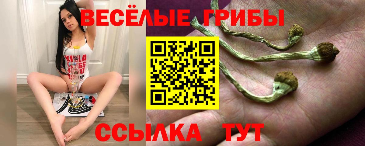Апшеронск  Псилоцибиновые грибы прущие грибы  Вход с VPN 