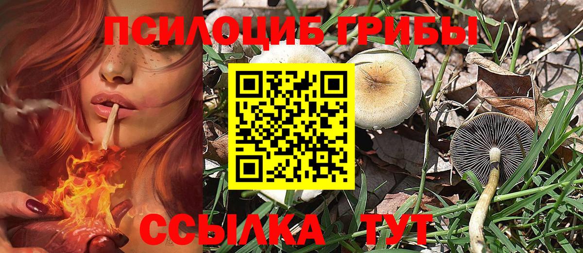 Псилоцибиновые грибы Magic Shrooms  Апшеронск  хочу наркоту  Галлюциногенные грибы Magic Shrooms 